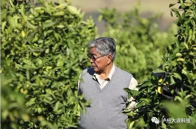 創(chuàng)業(yè)是一場馬拉松，你能堅持多久？