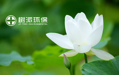 瀘州樹派環(huán)?？萍加邢薰?/></p>
                    <p class=